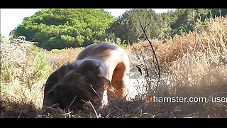 Vidéo Halftime Titty Hump (Danny D, Rachel Roxxx, Brandy Aniston) - 2022-02-25 10:53:13